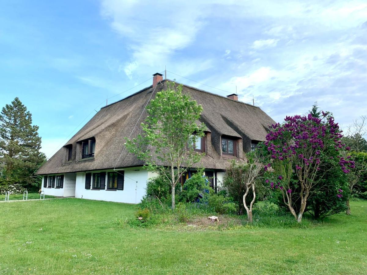 Ferienwohnung "Strandschnecke" Im Haus Hallig Oland Sankt Peter-Ording Eksteriør bilde